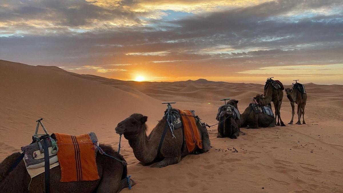 Chegaga Desert Trips M'Hamid Eksteriør billede